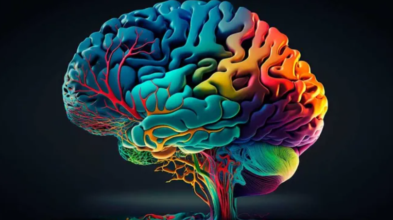 Día Mundial del Cerebro: por qué se celebra cada 22 de julio