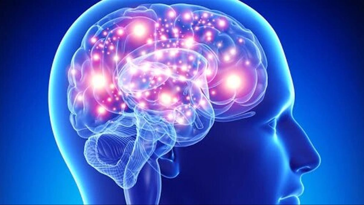 Día Mundial del Cerebro: ¿por qué se celebra cada 22 de julio?