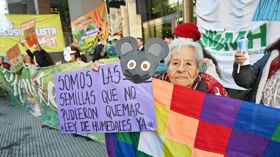 Santa Fe: Ambientalistas se encadenaron por una Ley de Humedales