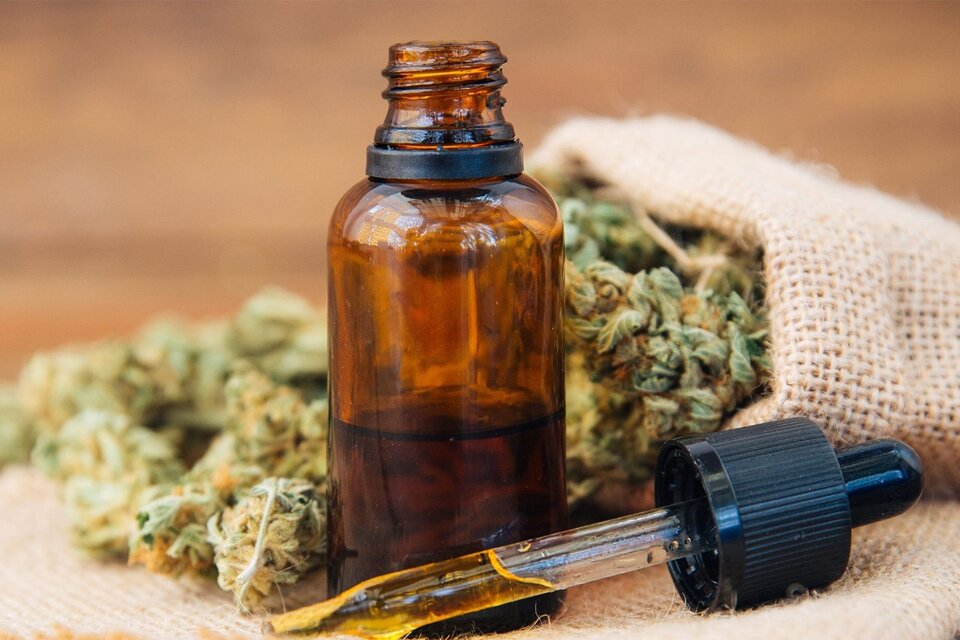 Investigarán el uso del cannabis medicinal en el tratamiento de la migraña