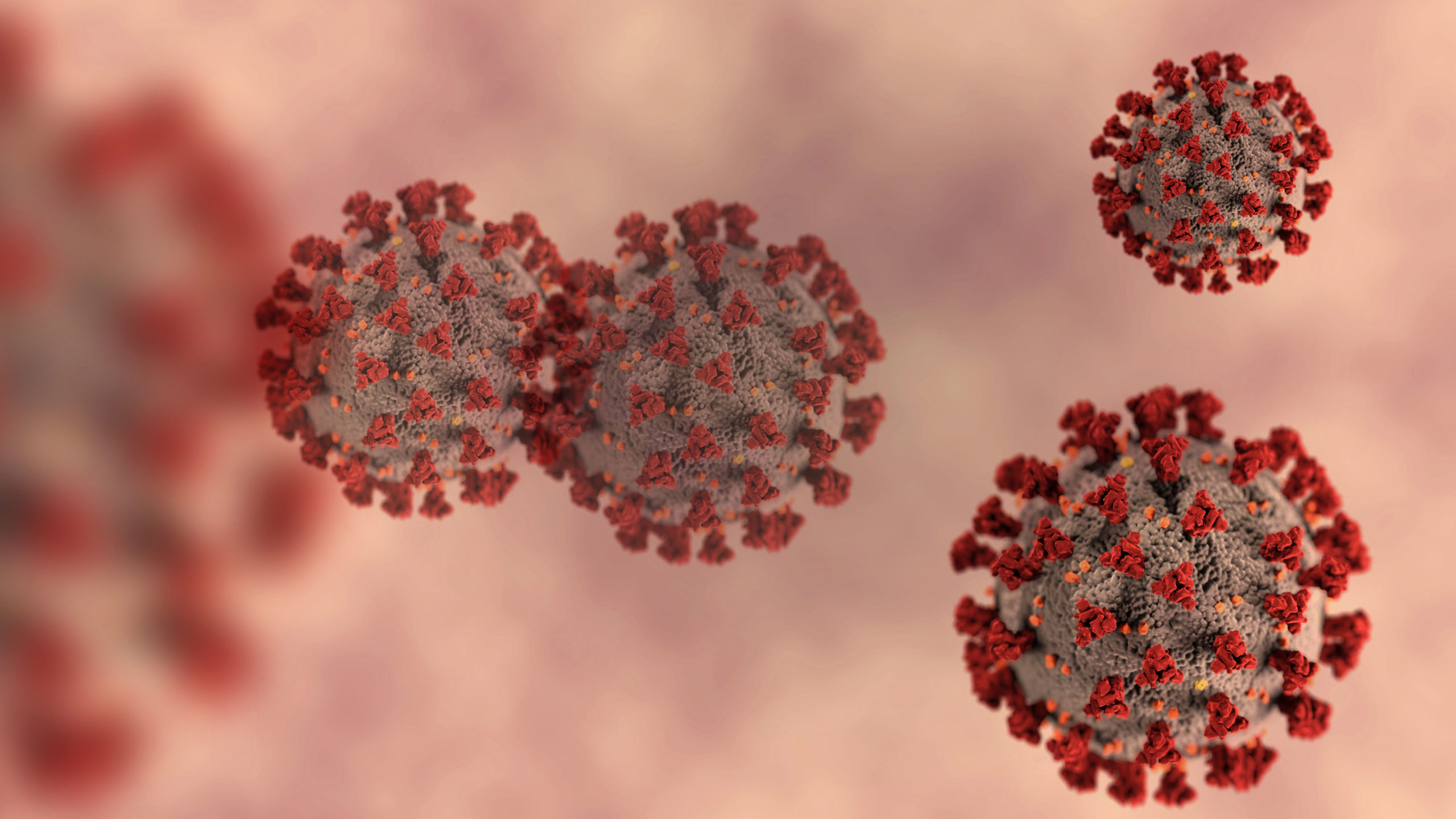 Coronavirus: Alerta por la detección de la nueva subvariante